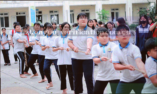 中欧体育正式版转会动态主页时间轴数据示意图